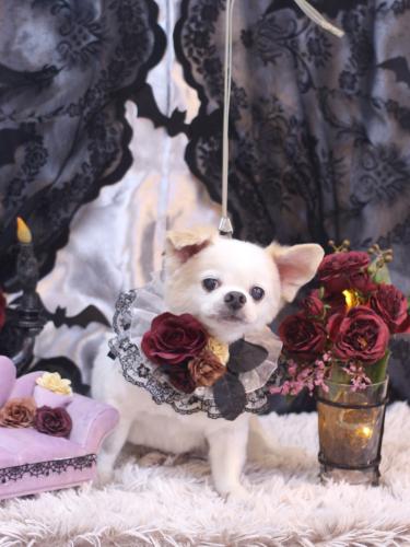 20231017風太くん